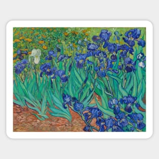 Irises Sticker